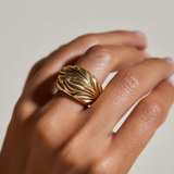 Sculpted Light Ring