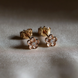 Fiore di Luce Petite — Cuore di Luce